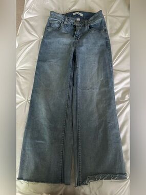 Refuge Light Blue Cropped Jeans Size 0